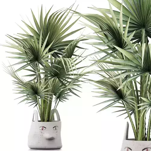 Plants Collection 139 Sabal Minor 3D model