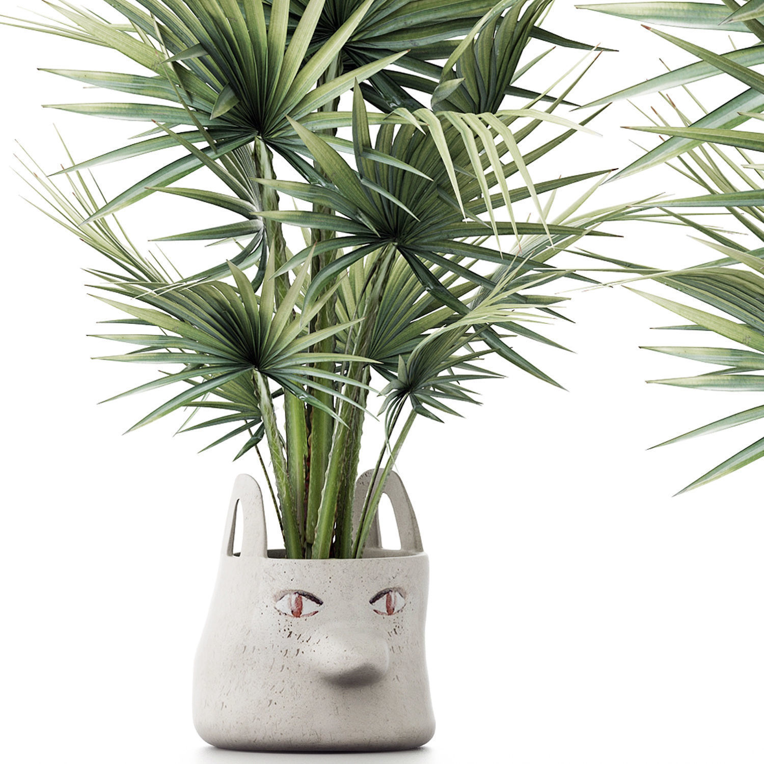 Plants Collection 139 Sabal Minor 3D model_1