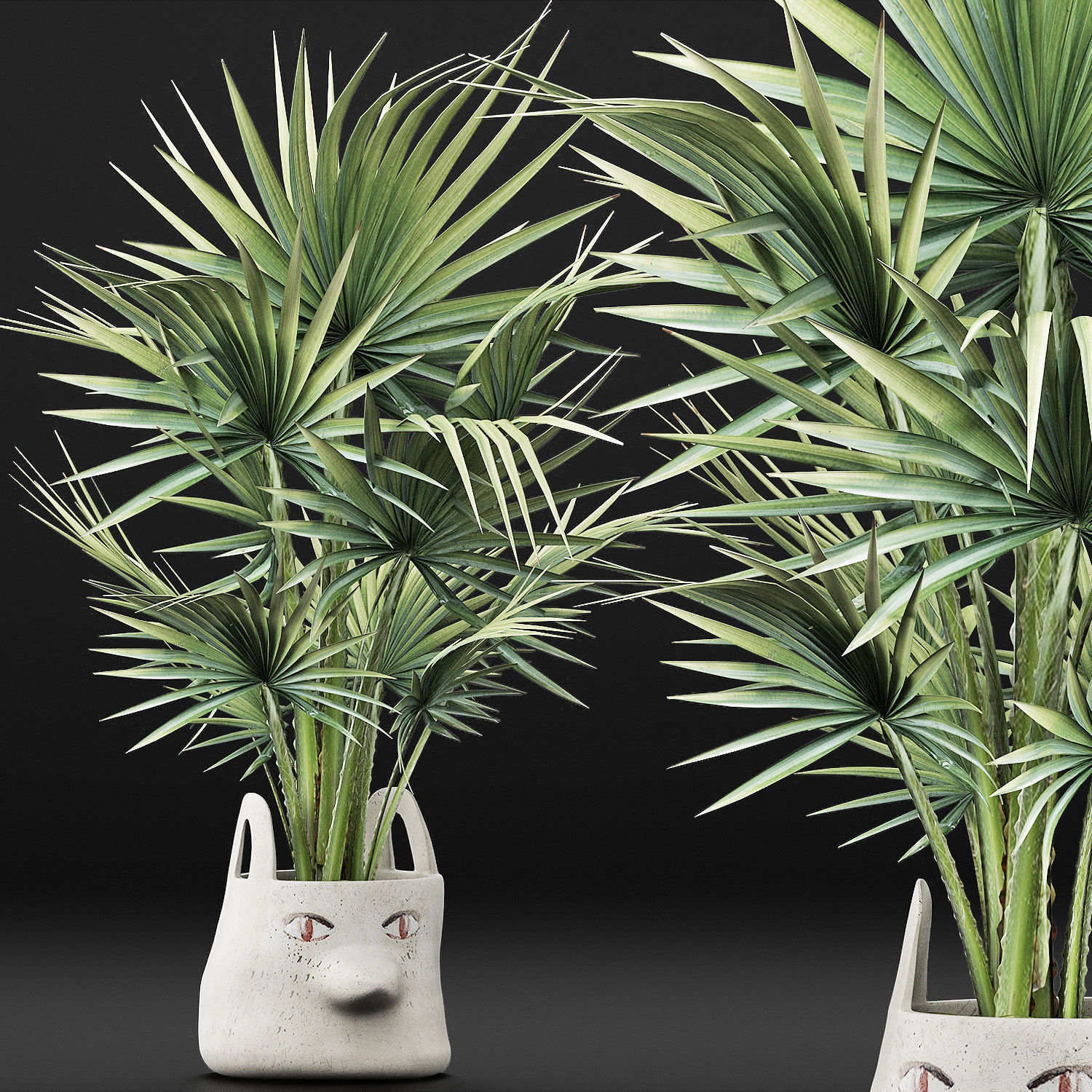 Plants Collection 139 Sabal Minor 3D model_2