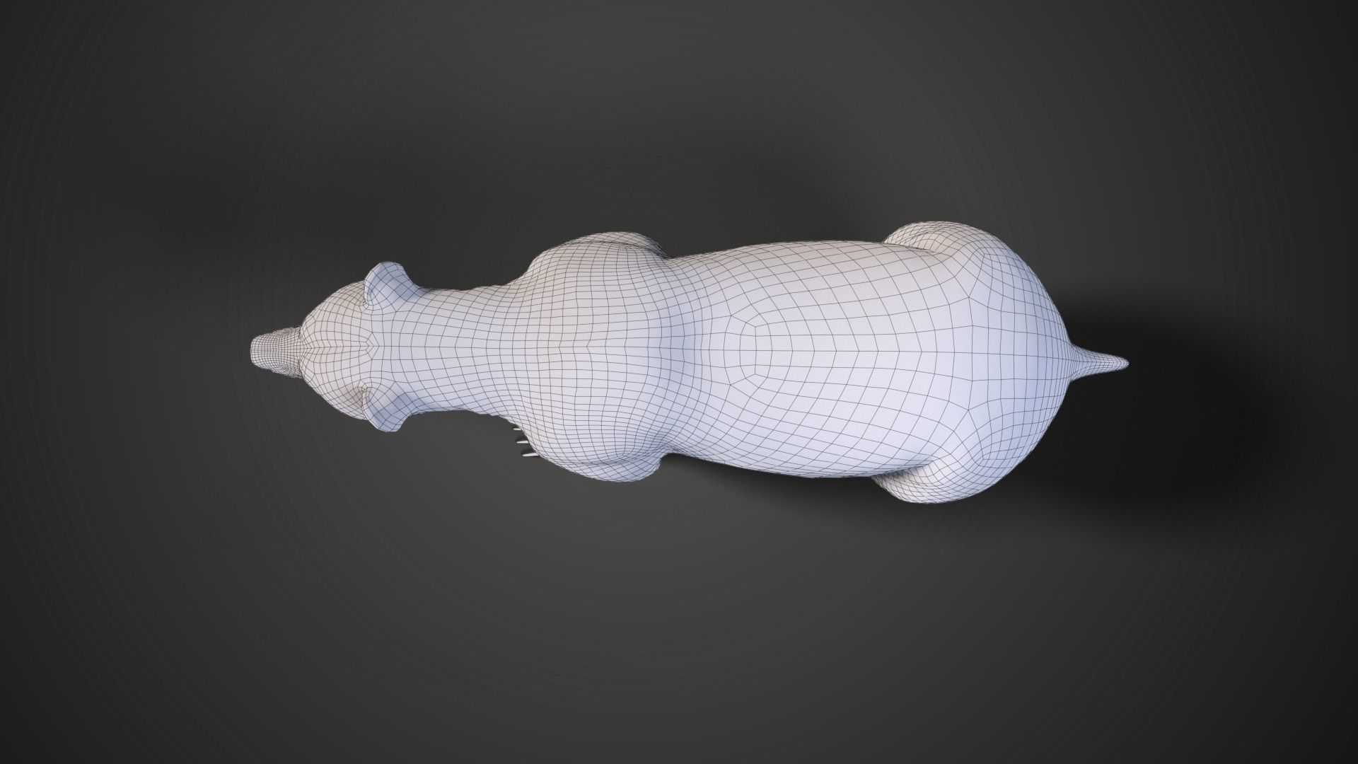 Female Brown Bear Animated 3D model_14