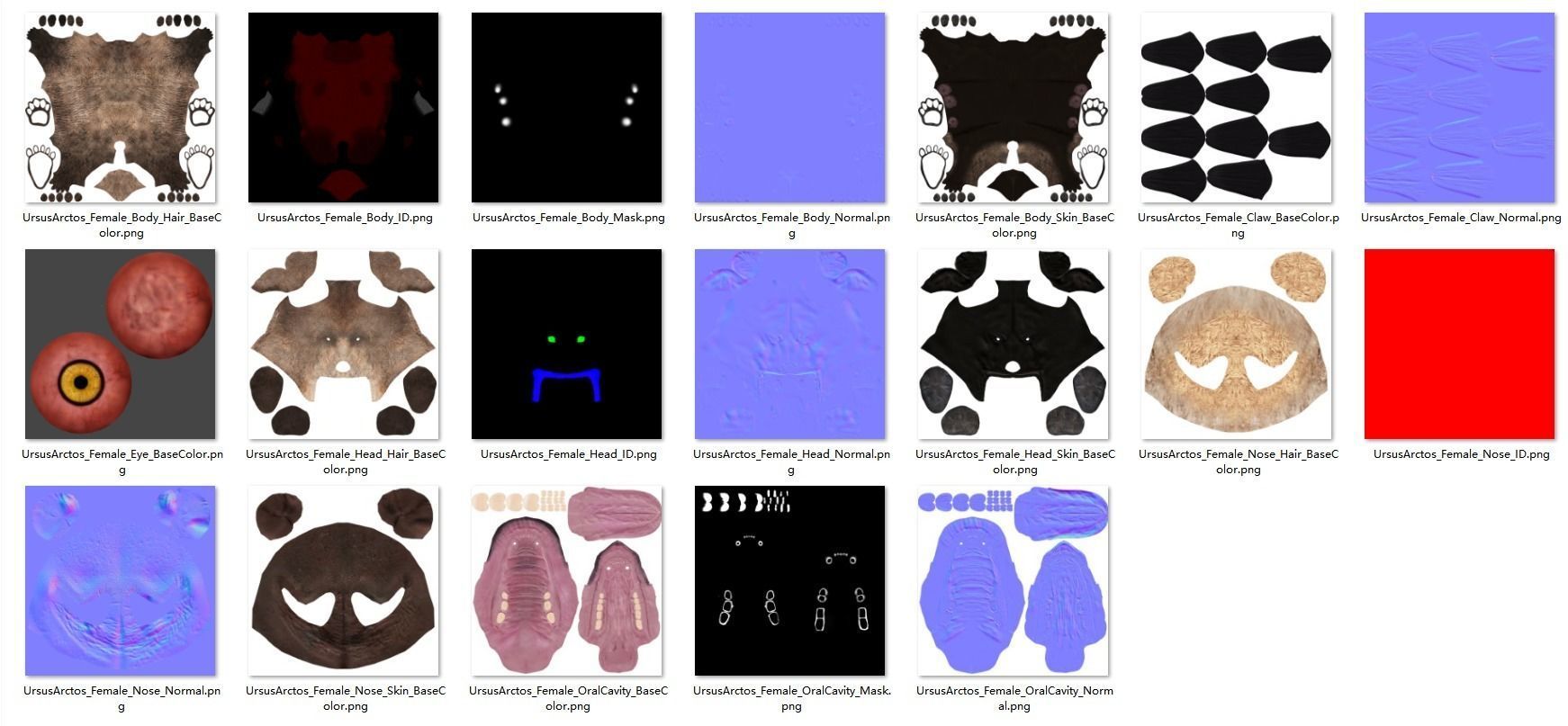 Female Brown Bear Animated 3D model_17