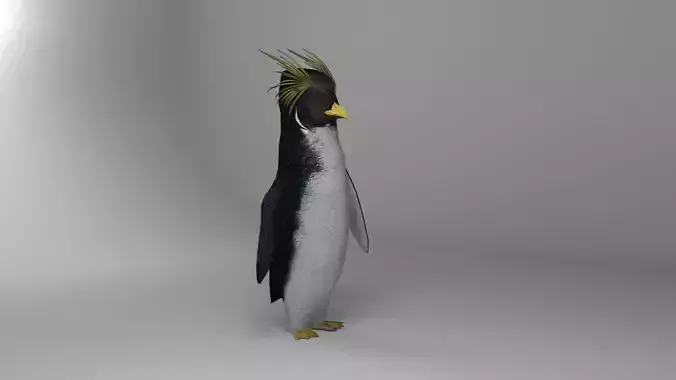 Crested penguin