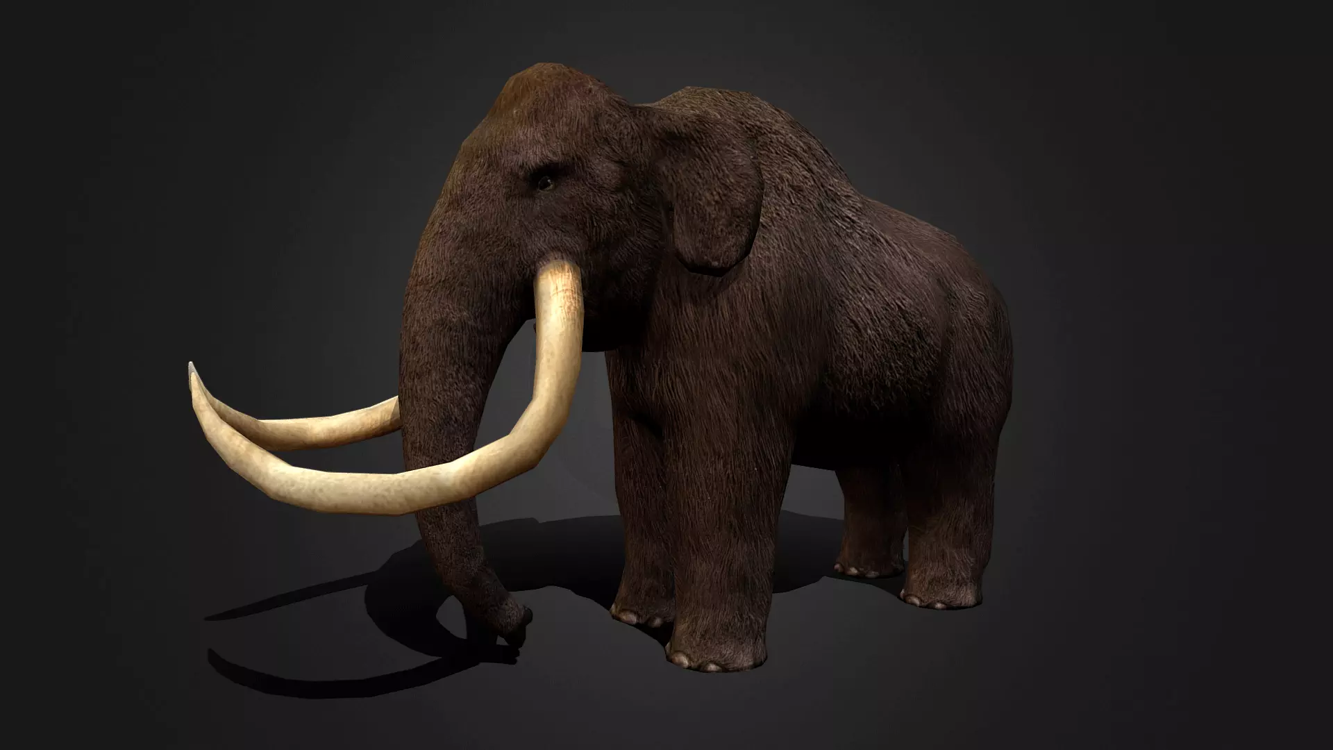Mammoth - Idle Animated Low-poly 3D model_0
