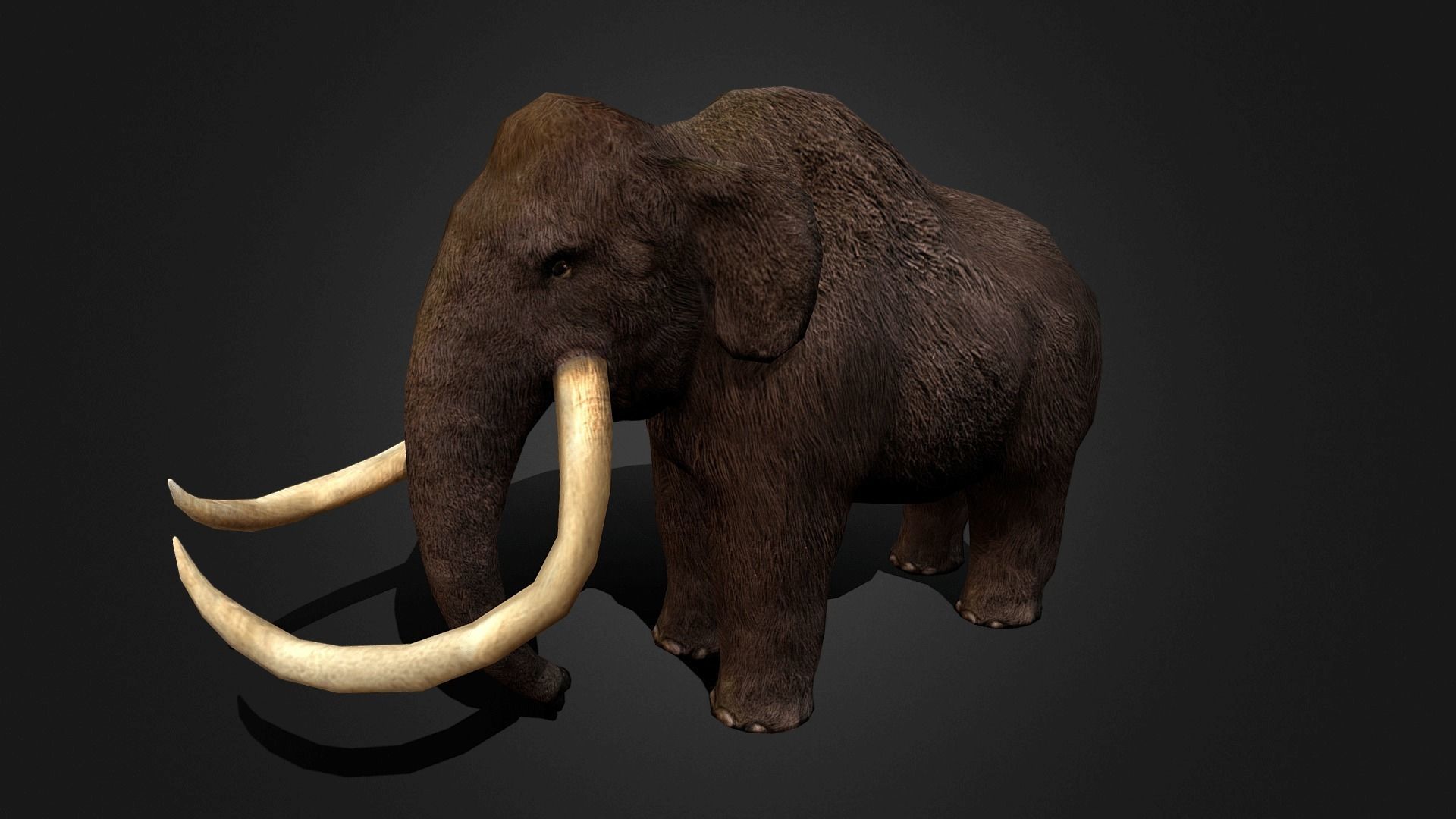Mammoth - Idle Animated Low-poly 3D model_4