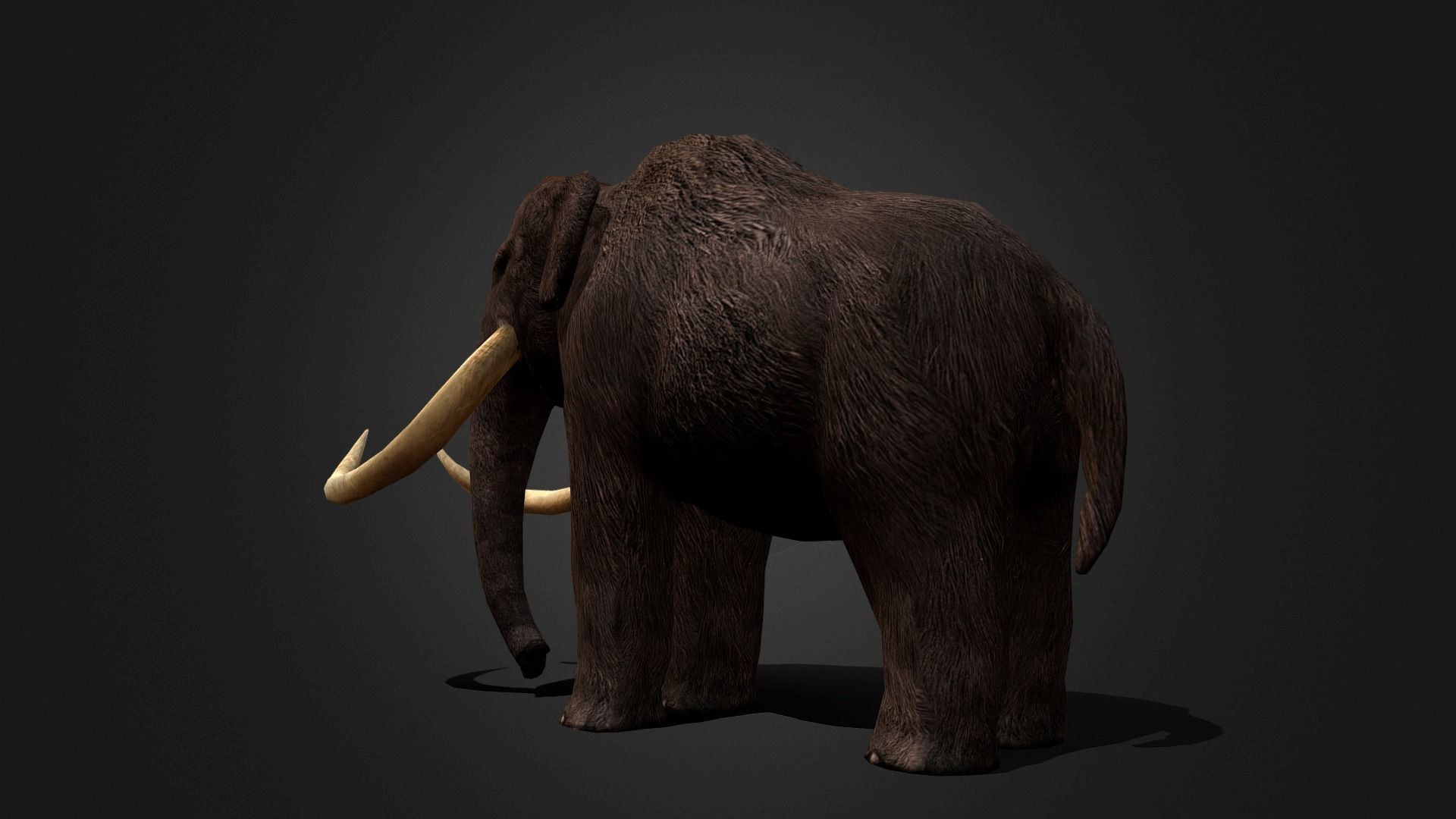 Mammoth - Idle Animated Low-poly 3D model_20
