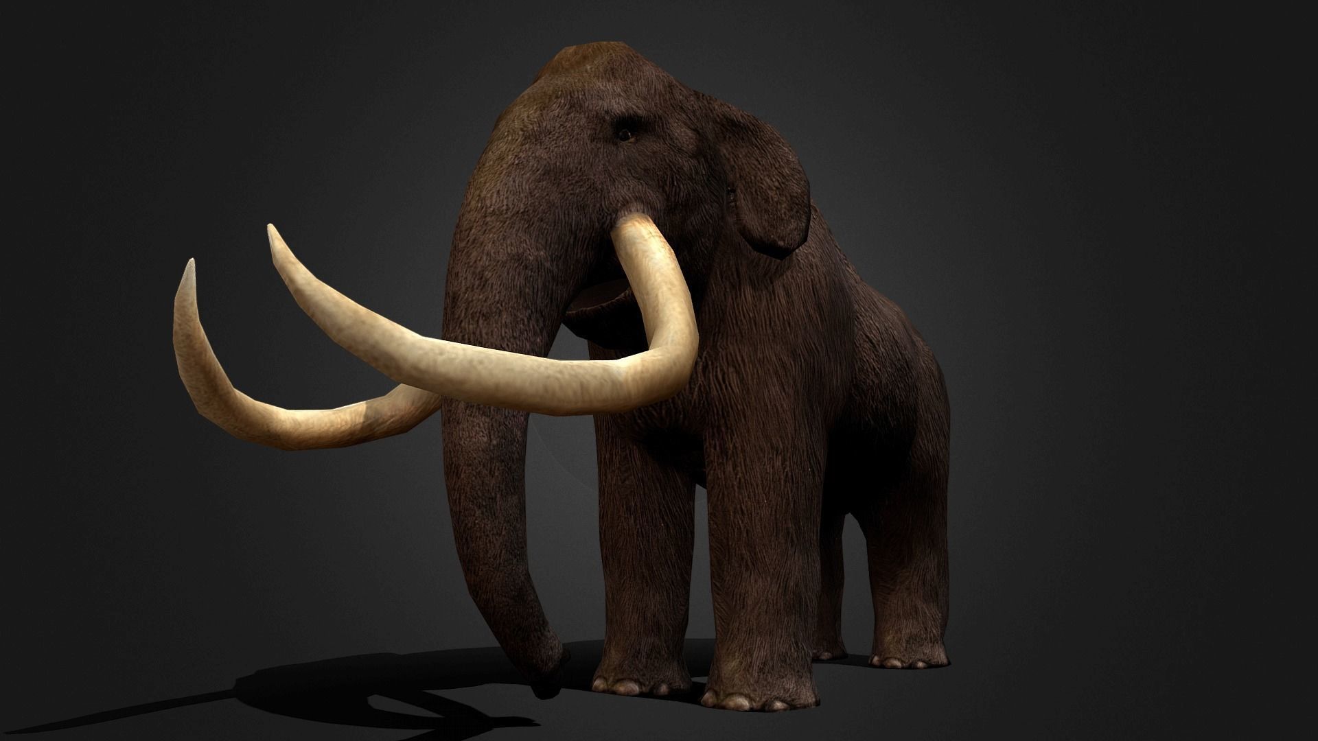 Mammoth - Idle Animated Low-poly 3D model_10