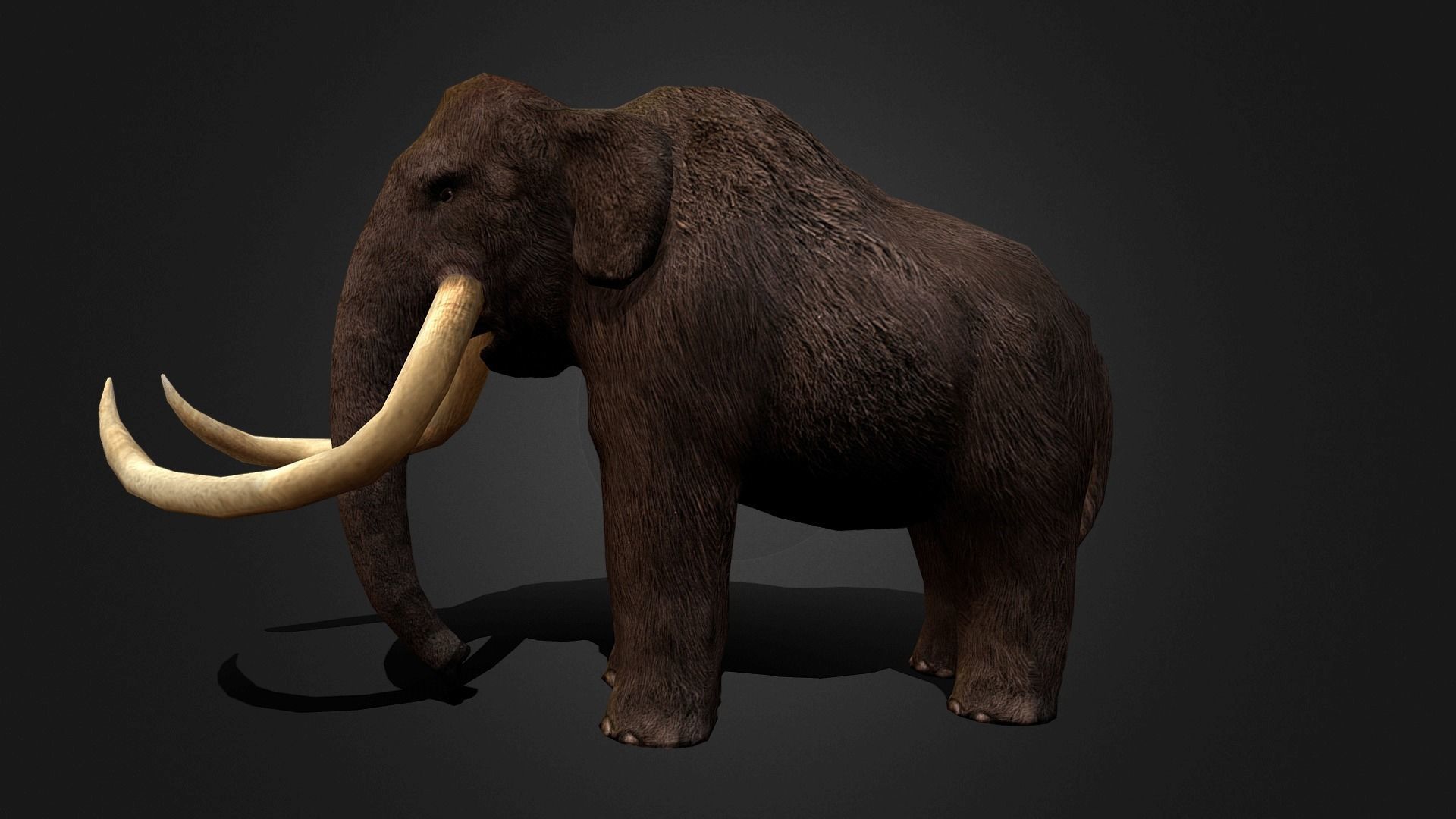 Mammoth - Idle Animated Low-poly 3D model_22