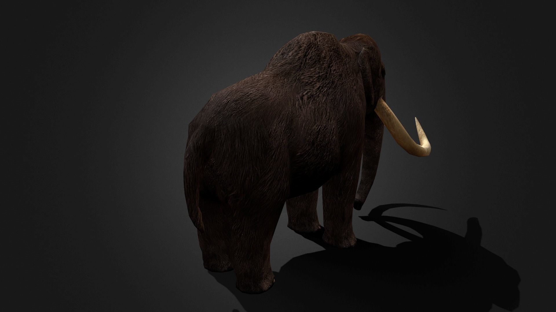 Mammoth - Idle Animated Low-poly 3D model_16