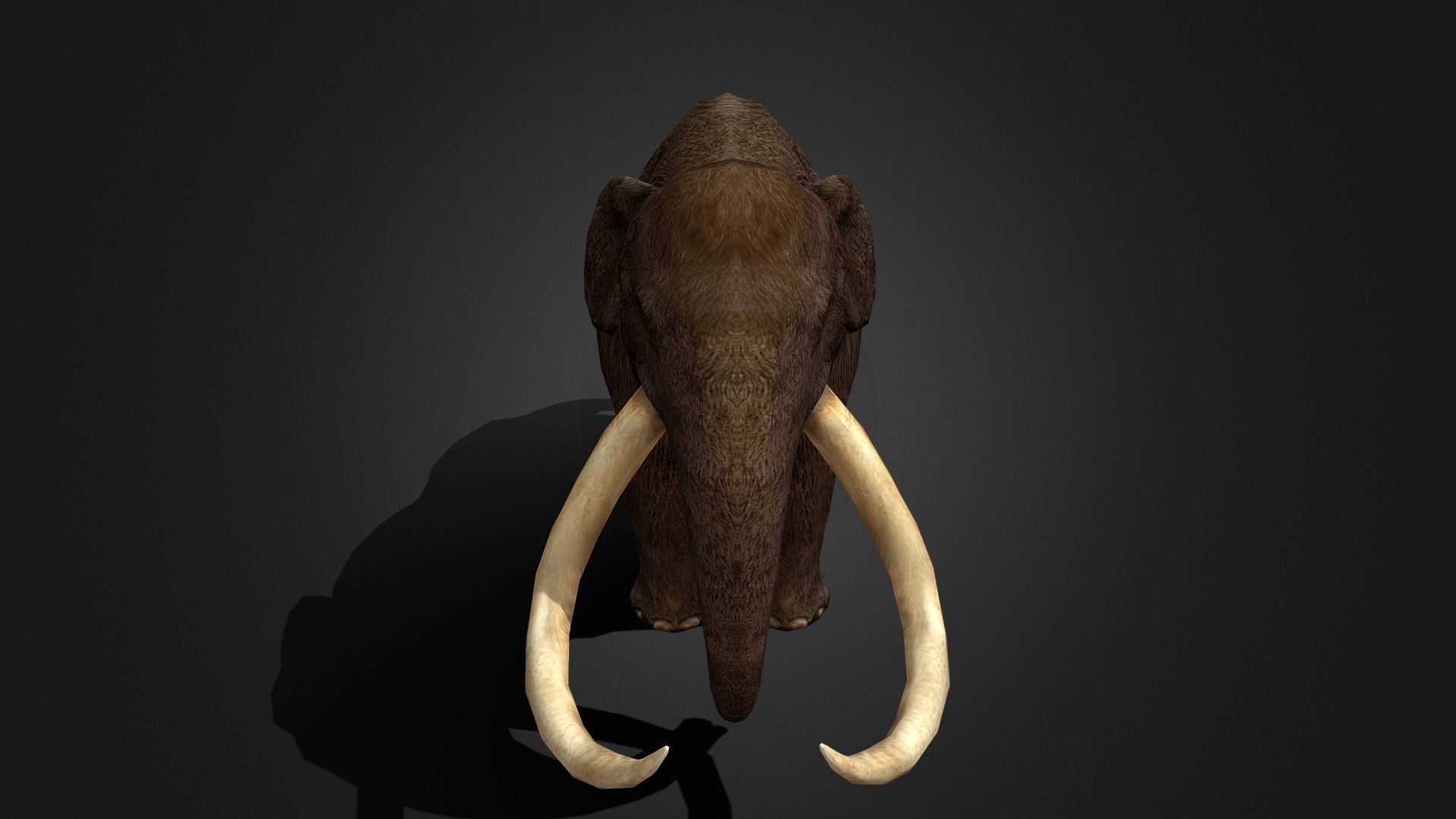 Mammoth - Idle Animated Low-poly 3D model_6