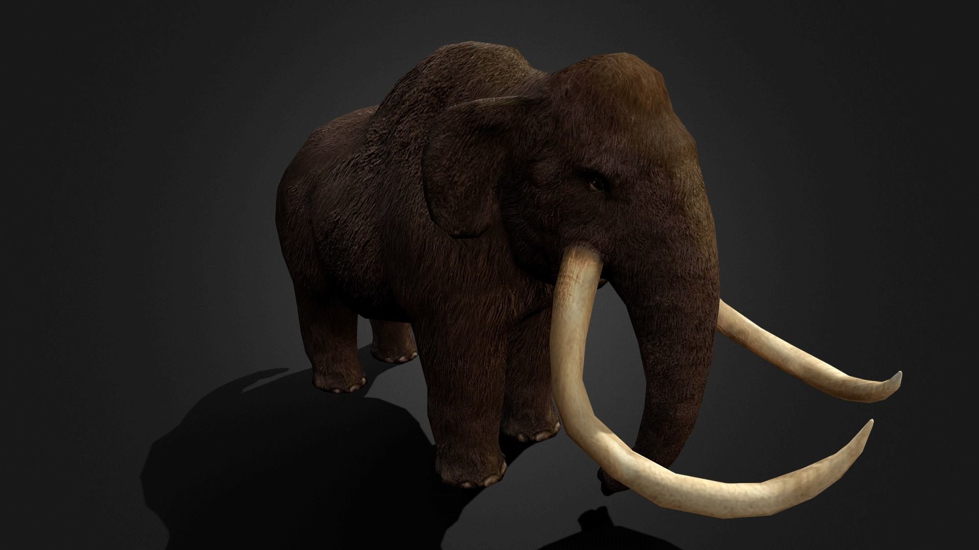 Mammoth - Idle Animated Low-poly 3D model_12