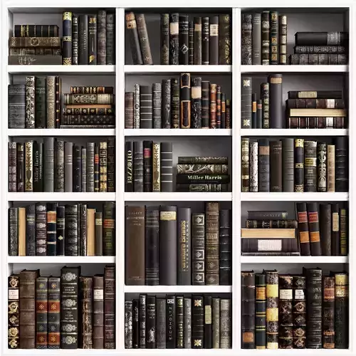Classic Books 16 3D model