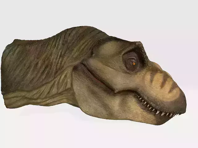T-Rex head model
