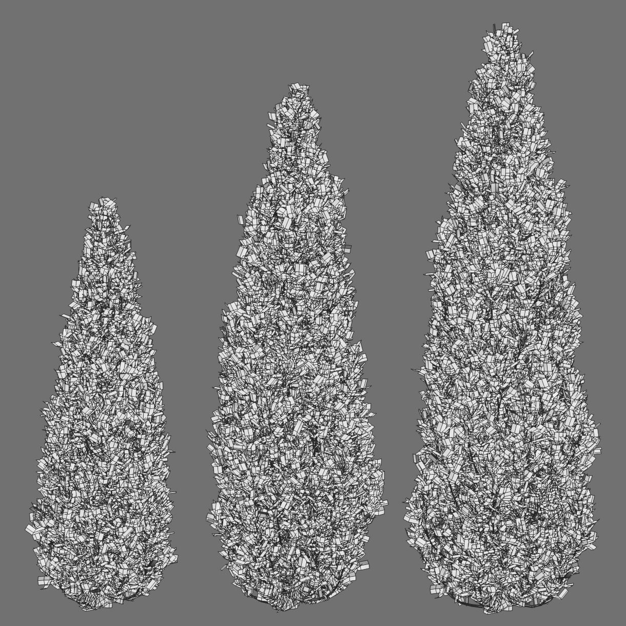 Thuja three coniferous trees 3D model_2