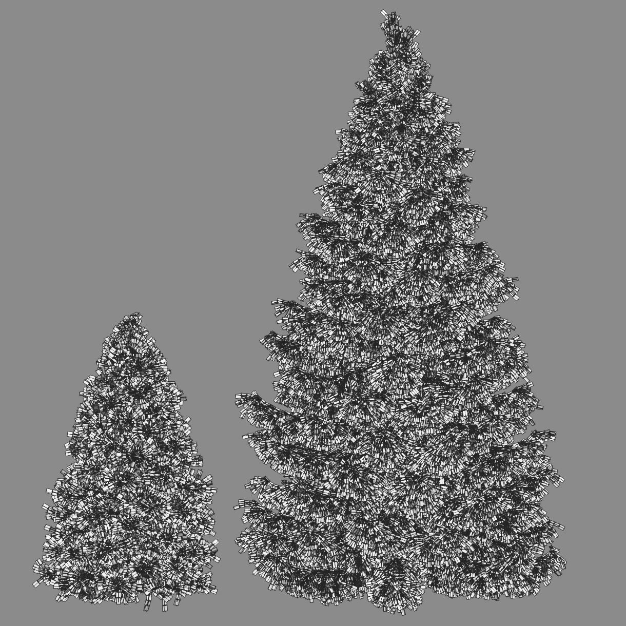 Spruce two christmas trees 3D model_2