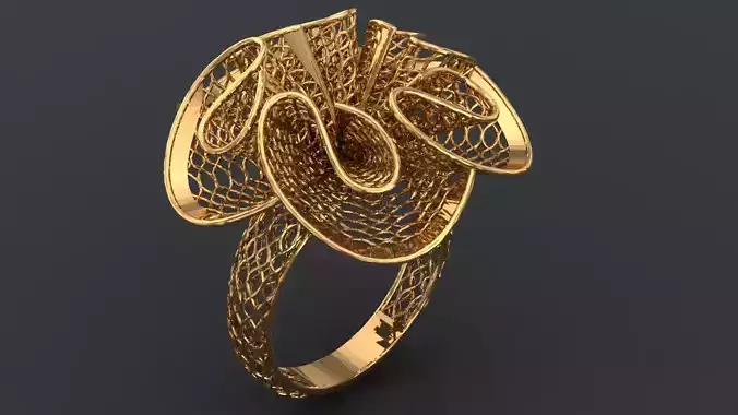 jewelry ring
