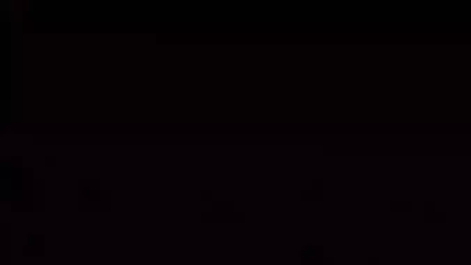 Leaf Pendants Design