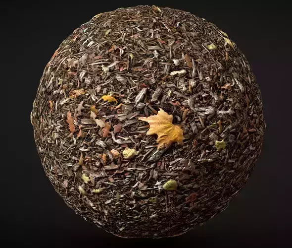 Automn Floor scan Texture