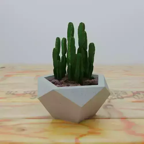 Concrete Planter Canopus