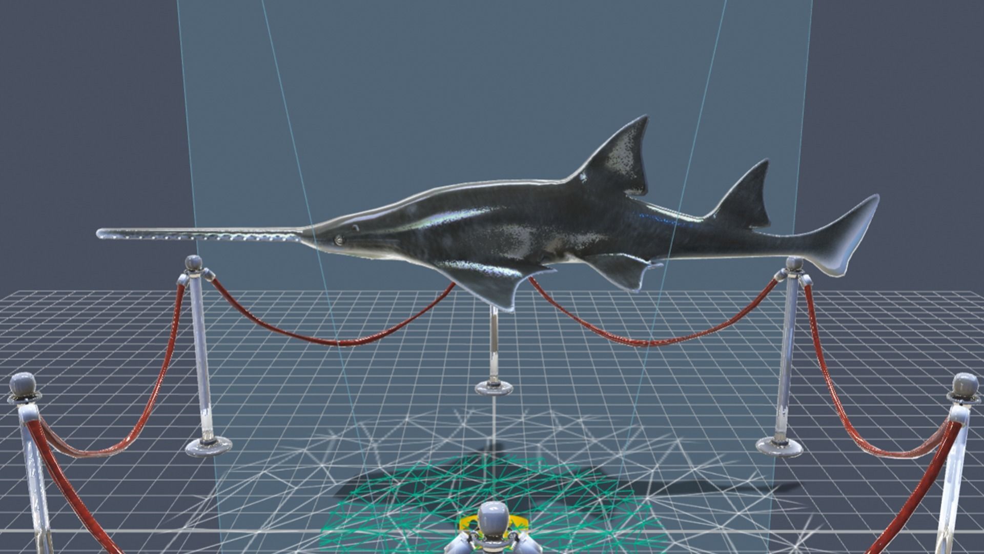 Largetooth Sawfish Low-poly 3D model_9