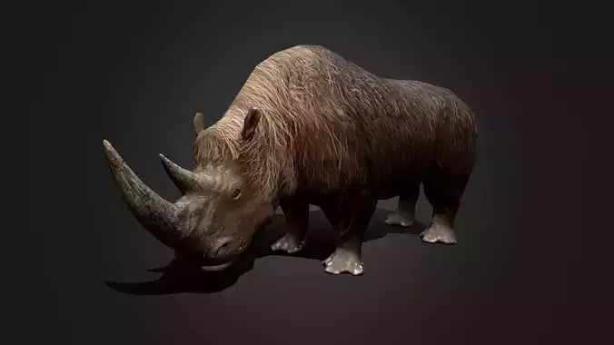 Wolly Rhinoceros - Idle Animated Low-poly 3D model