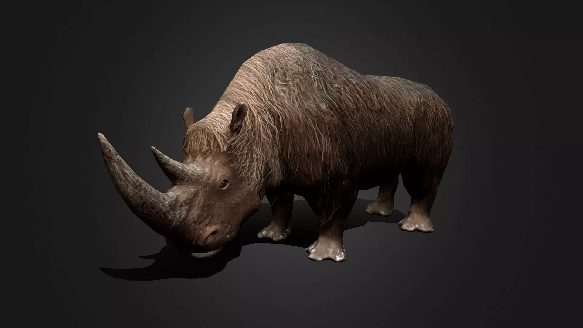 Wolly Rhinoceros - Idle Animated Low-poly 3D model