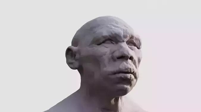 Neardental printable bust 3D print model