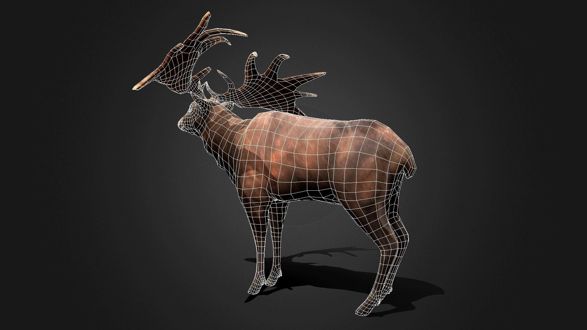 Megaloceros - Idle Animated Low-poly 3D model_19