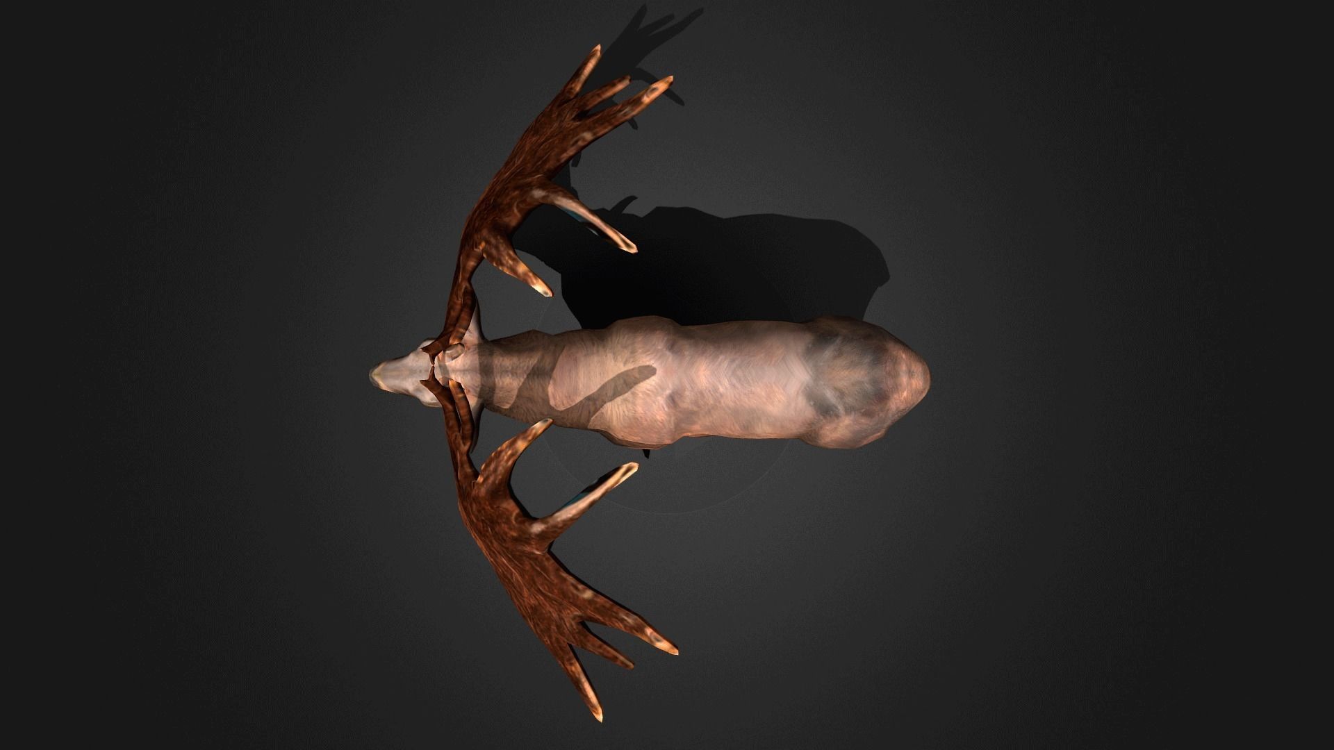 Megaloceros - Idle Animated Low-poly 3D model_6