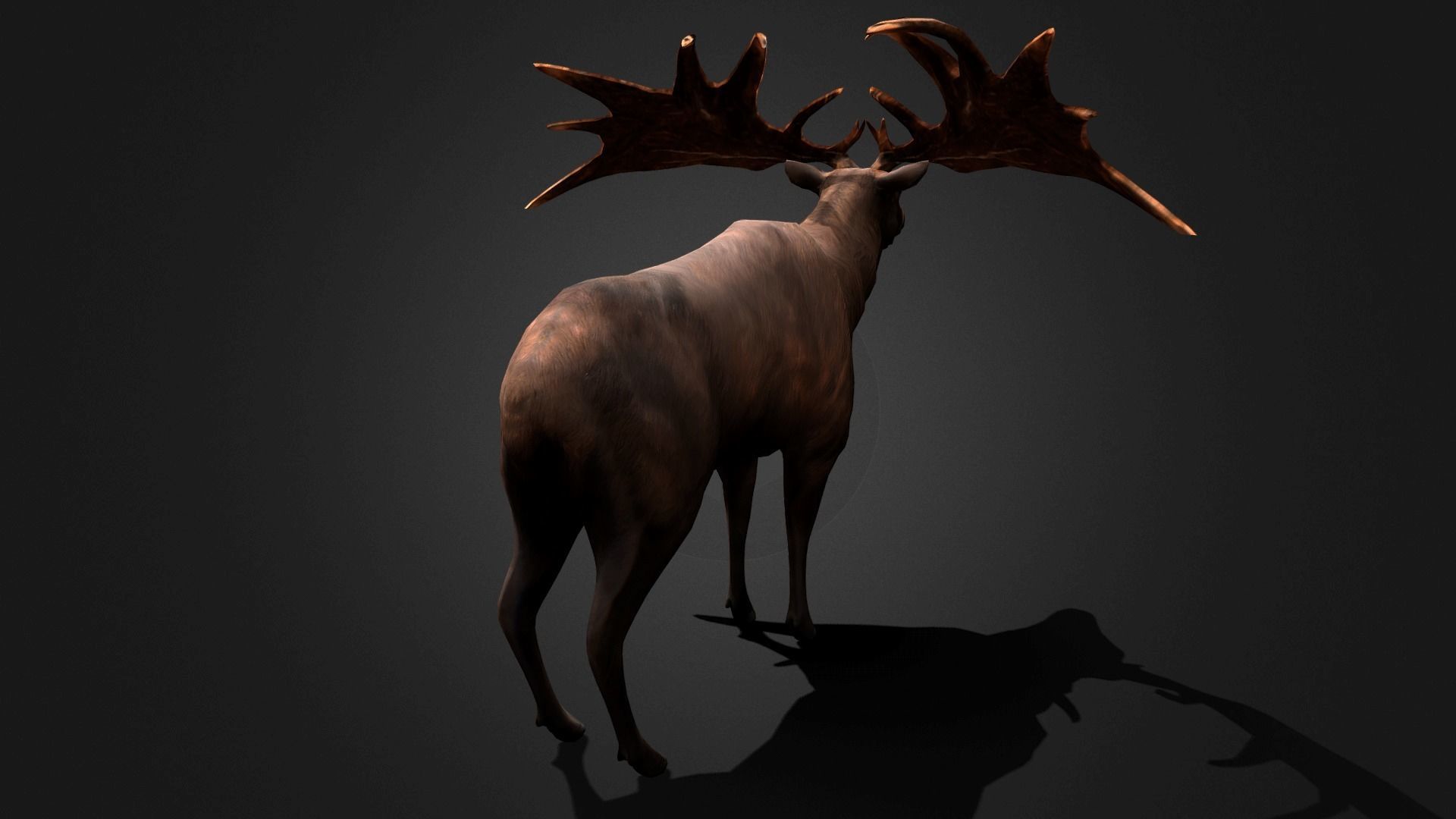 Megaloceros - Idle Animated Low-poly 3D model_14