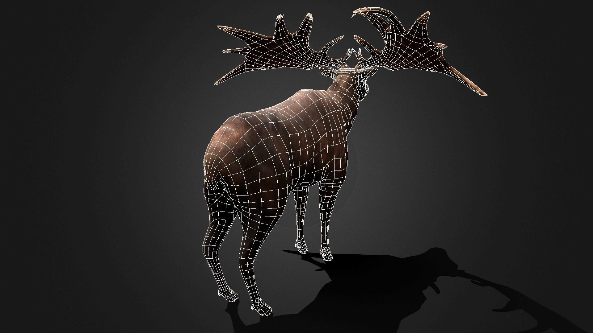 Megaloceros - Idle Animated Low-poly 3D model_13
