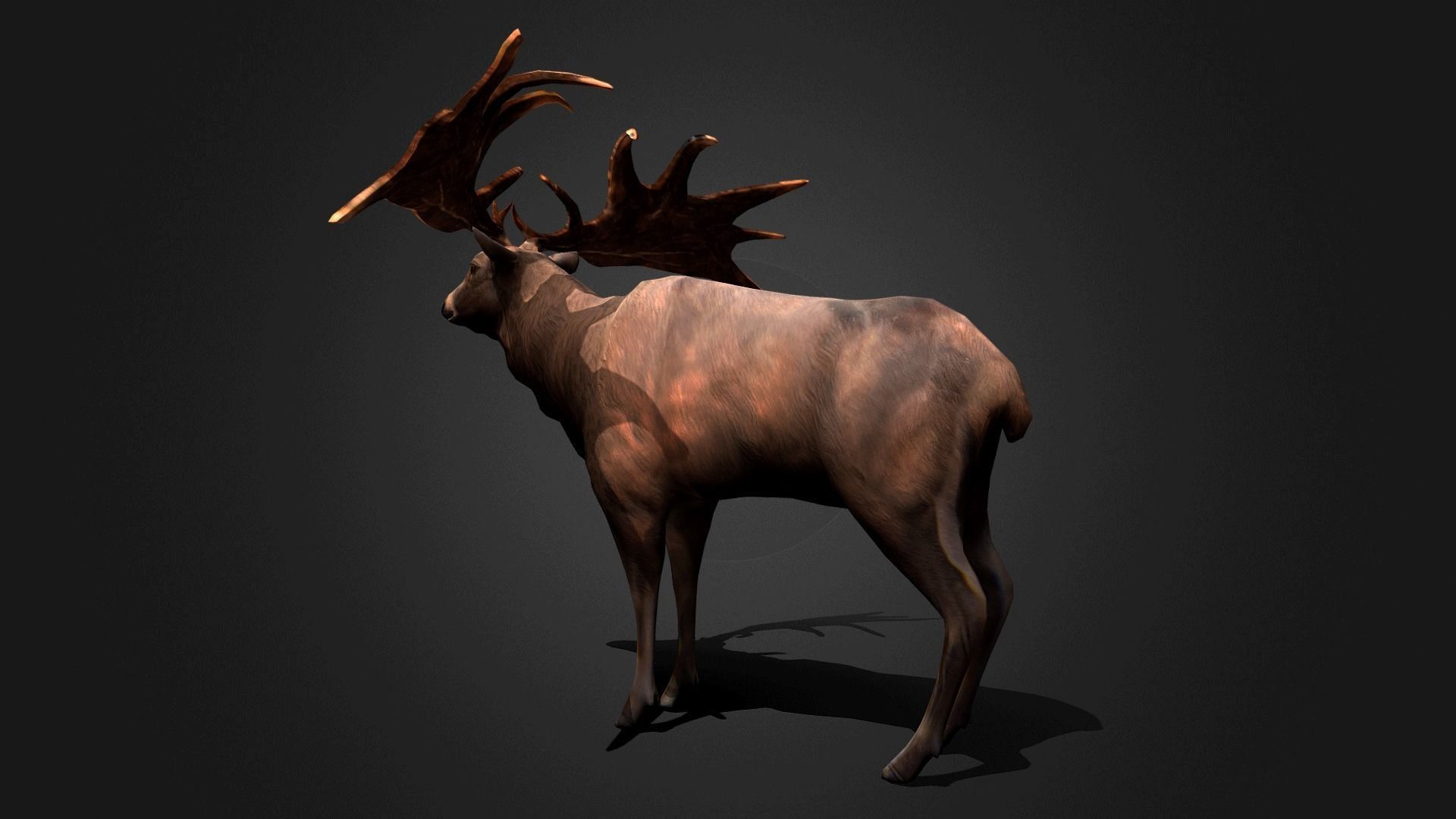 Megaloceros - Idle Animated Low-poly 3D model_20