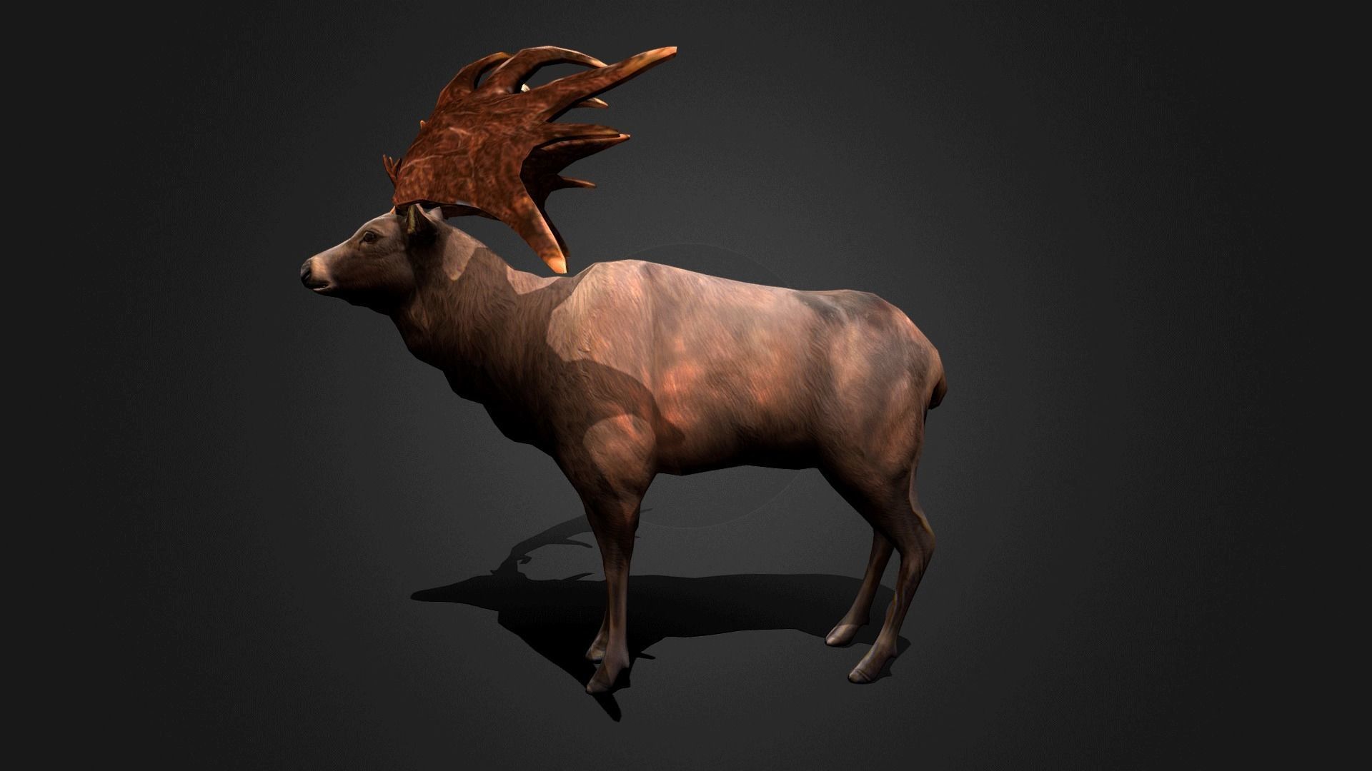 Megaloceros - Idle Animated Low-poly 3D model_22