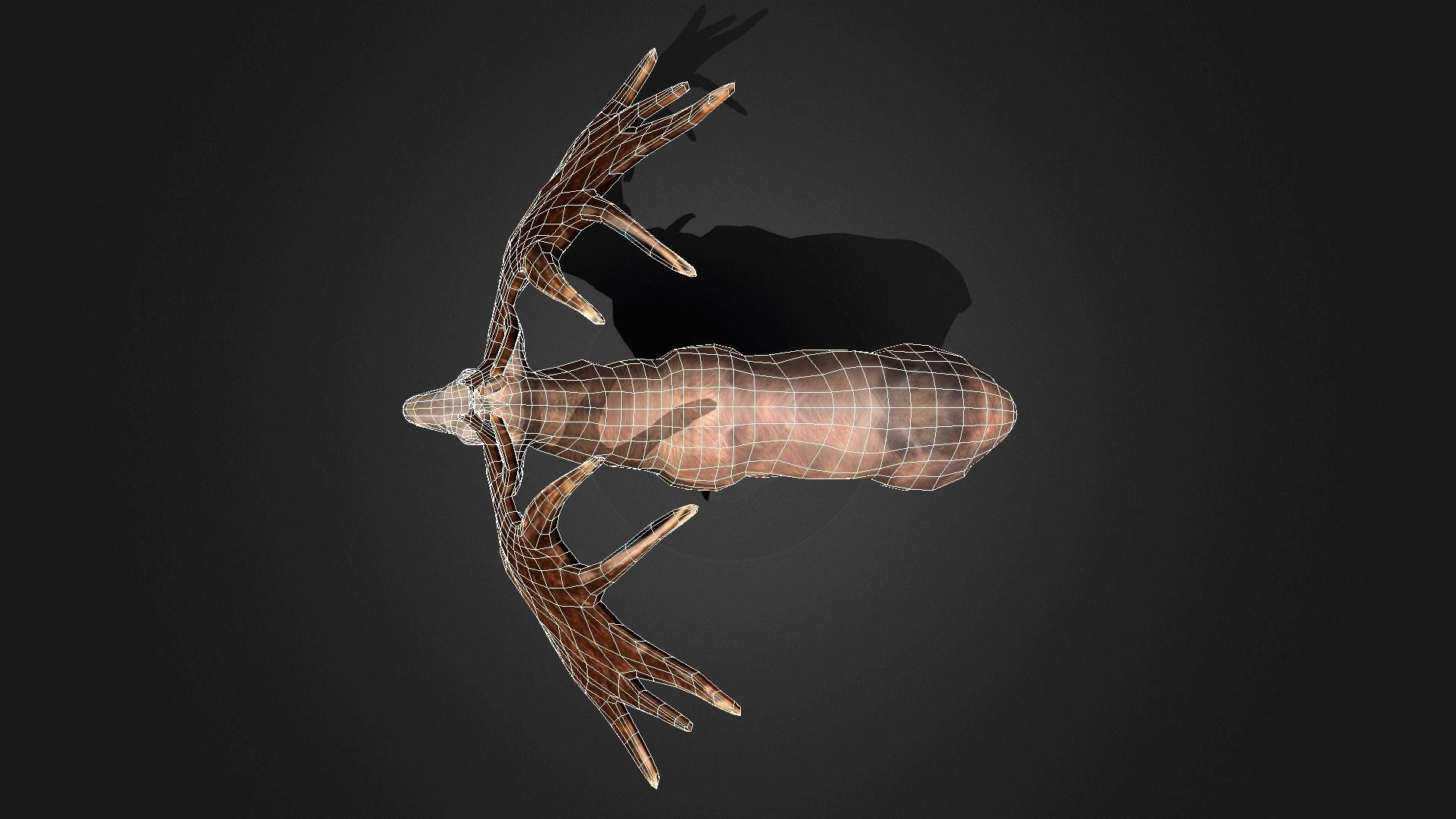 Megaloceros - Idle Animated Low-poly 3D model_5