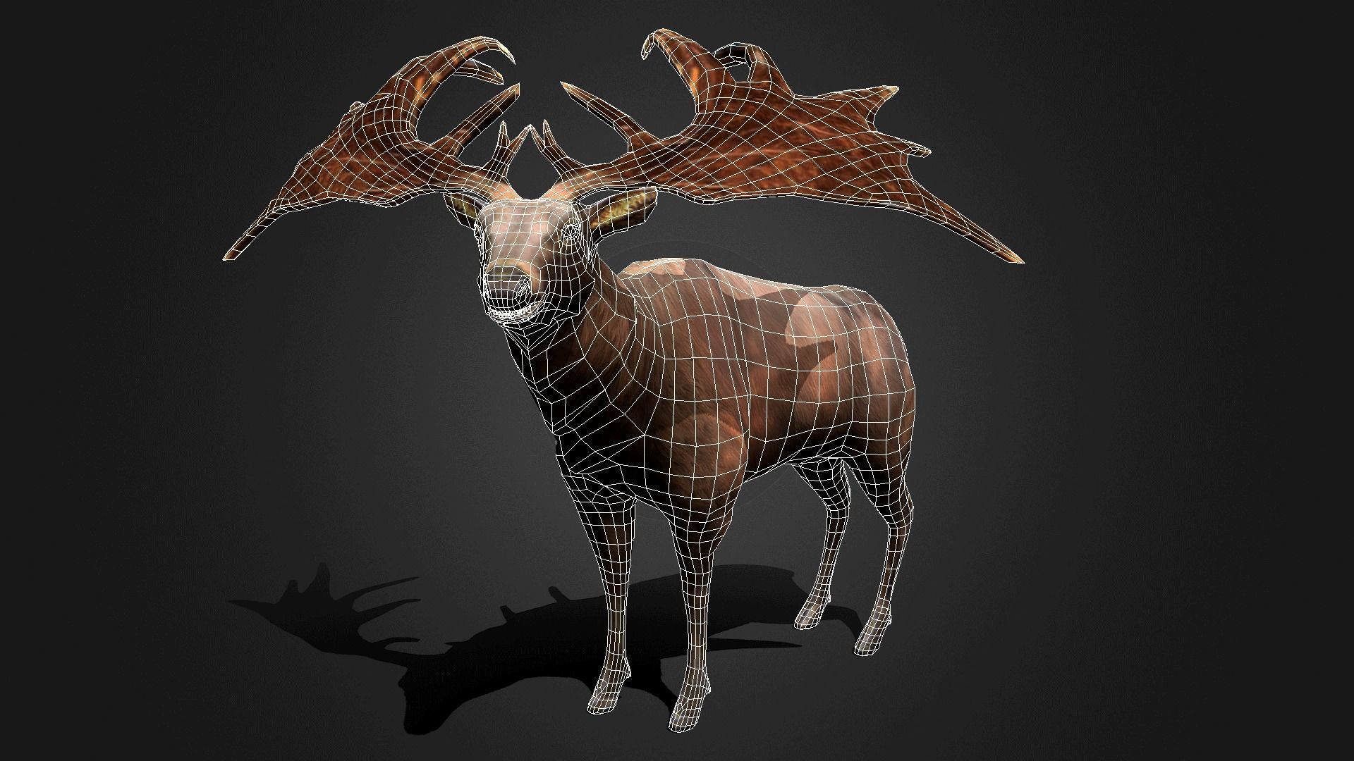 Megaloceros - Idle Animated Low-poly 3D model_3