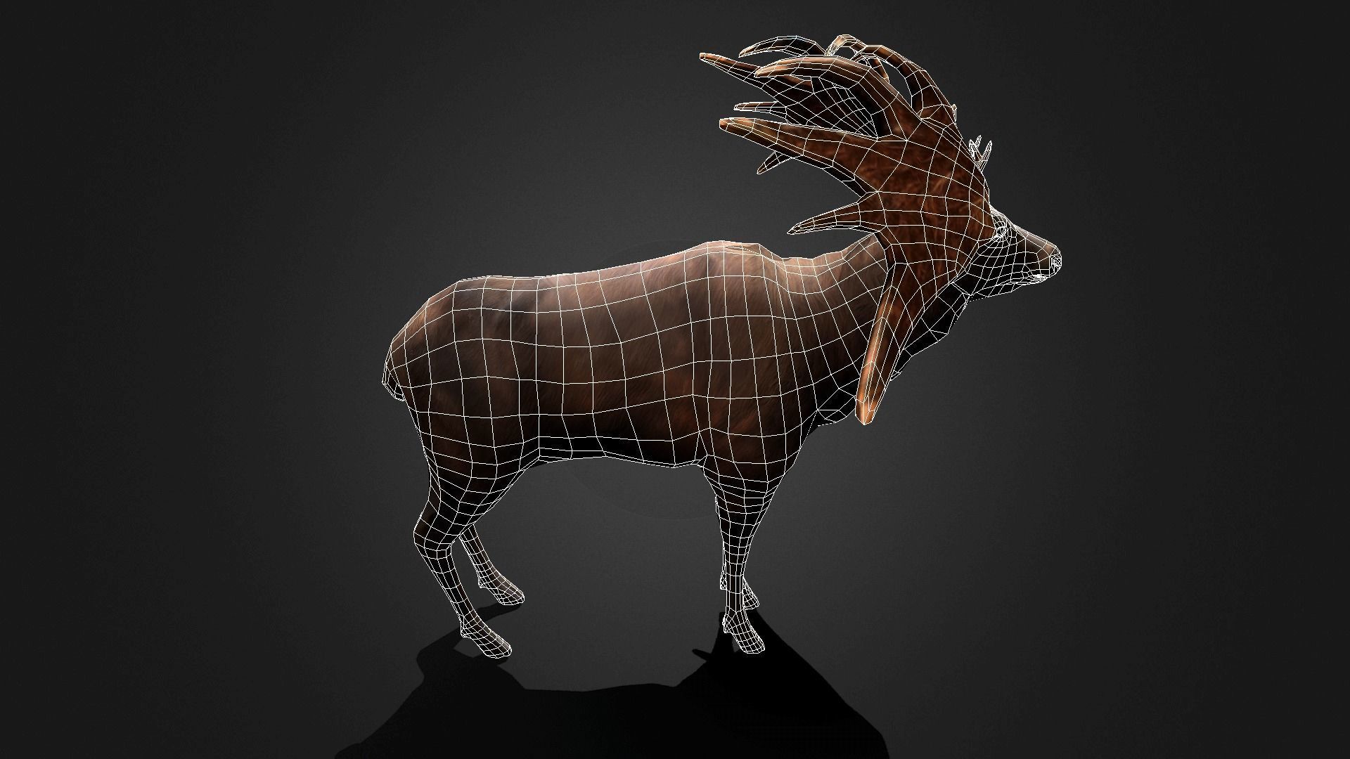 Megaloceros - Idle Animated Low-poly 3D model_11