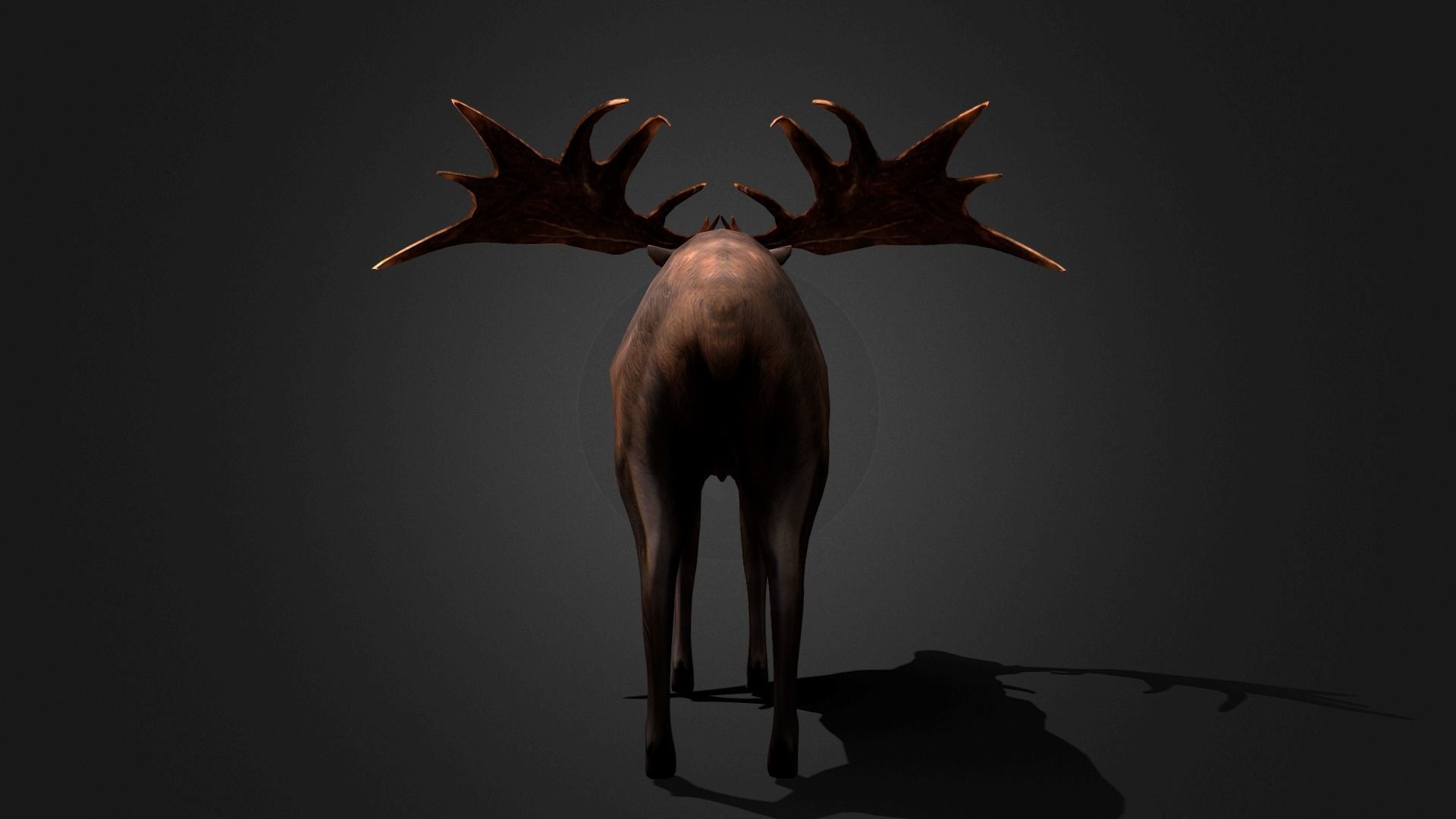 Megaloceros - Idle Animated Low-poly 3D model_18