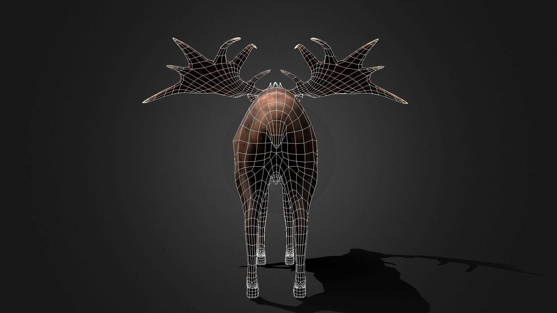 Megaloceros - Idle Animated Low-poly 3D model_17