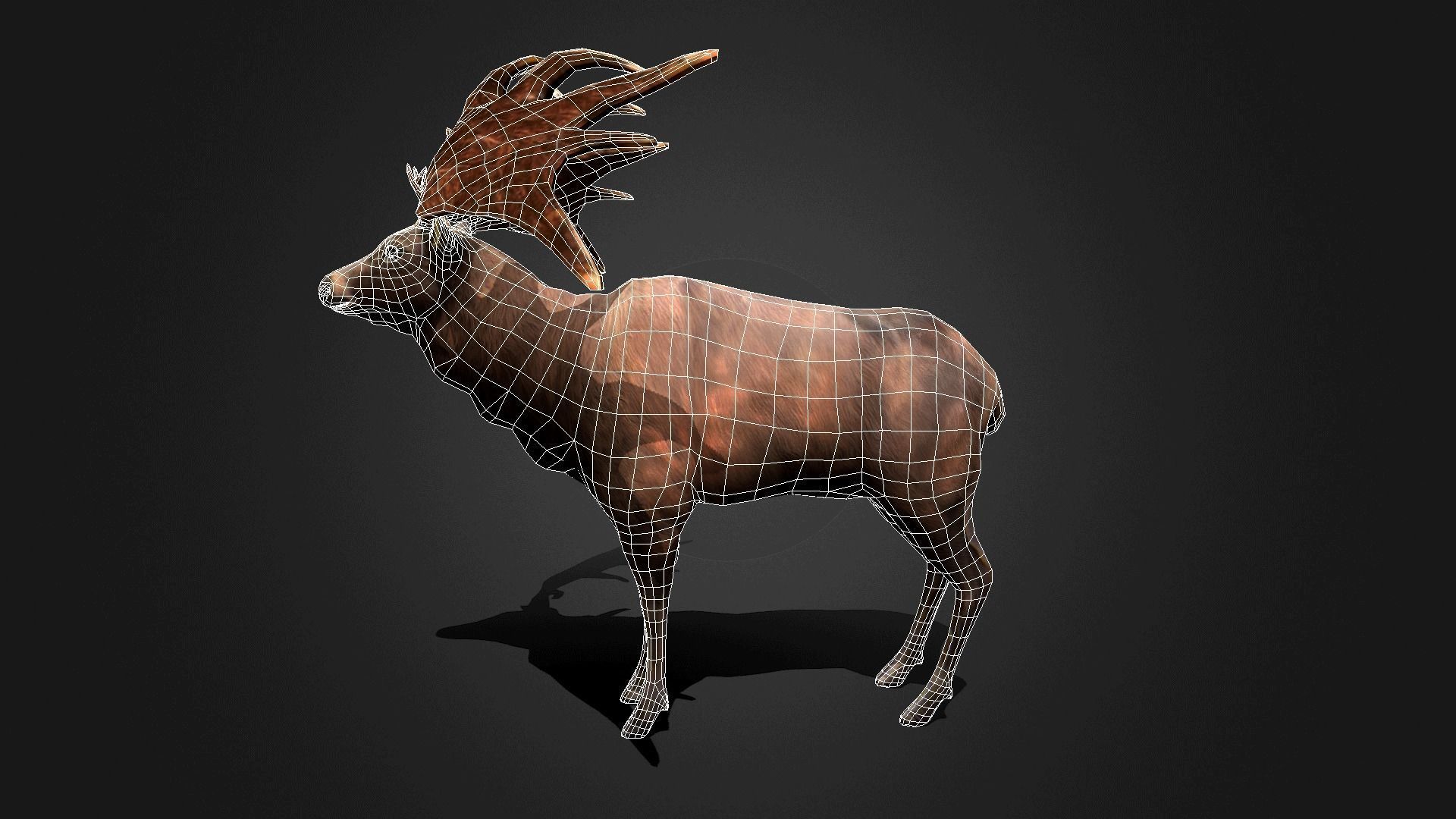 Megaloceros - Idle Animated Low-poly 3D model_21