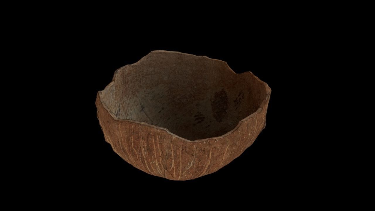 Coconut half 3D model_4