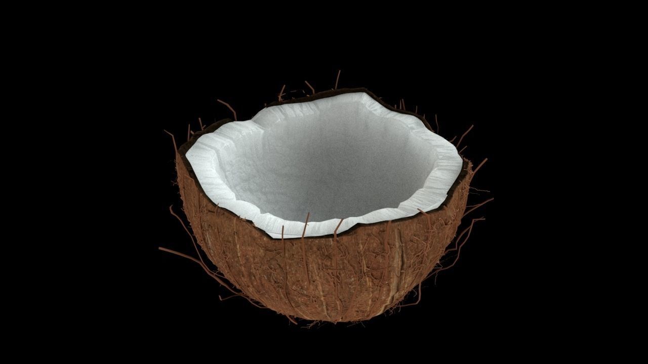 Coconut half 3D model_2