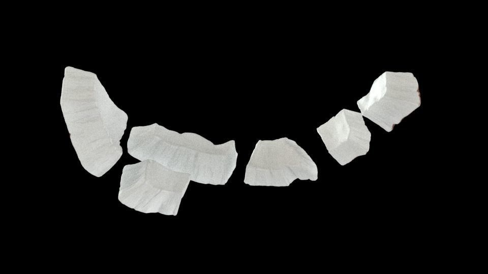 Coconut half 3D model_10