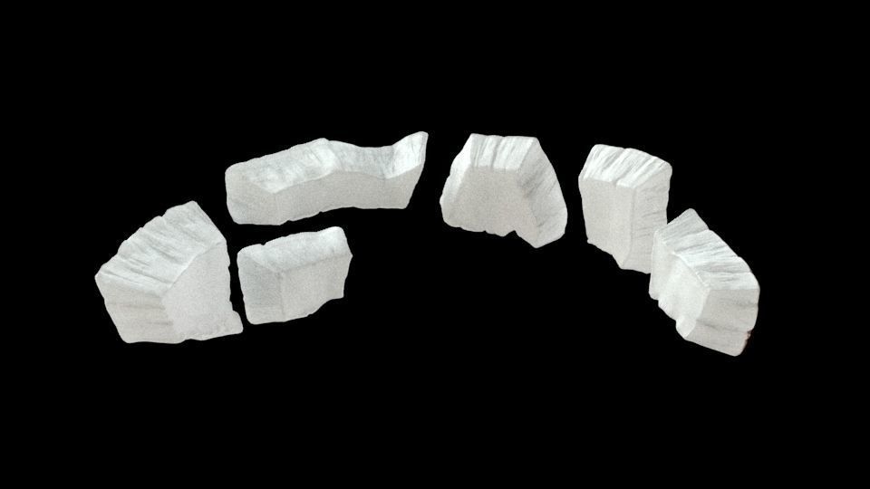 Coconut half 3D model_12