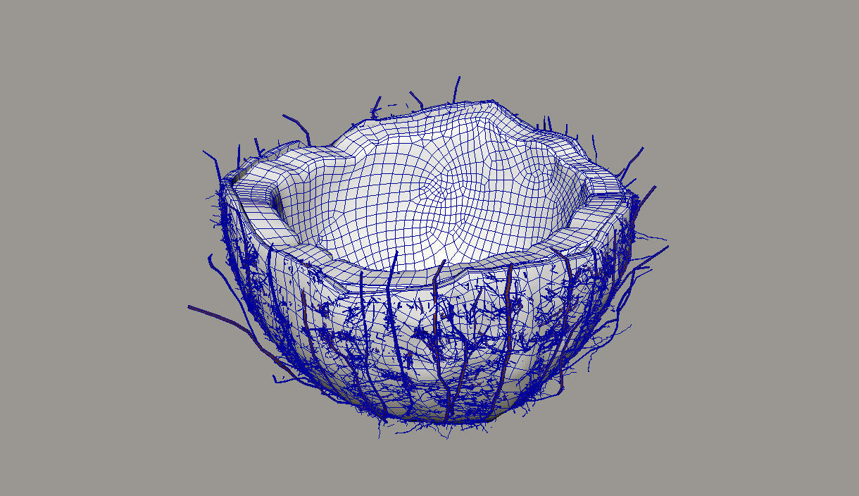 Coconut half 3D model_18