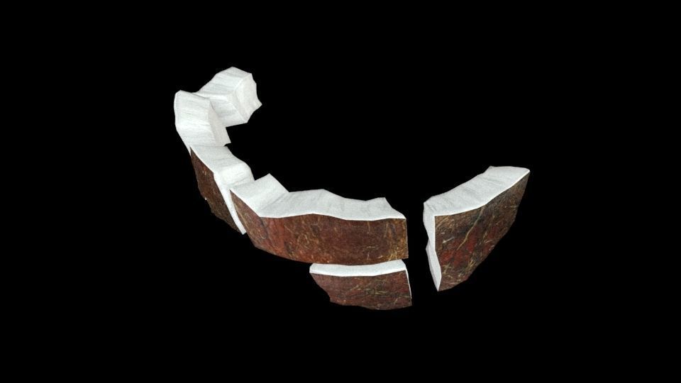 Coconut half 3D model_7