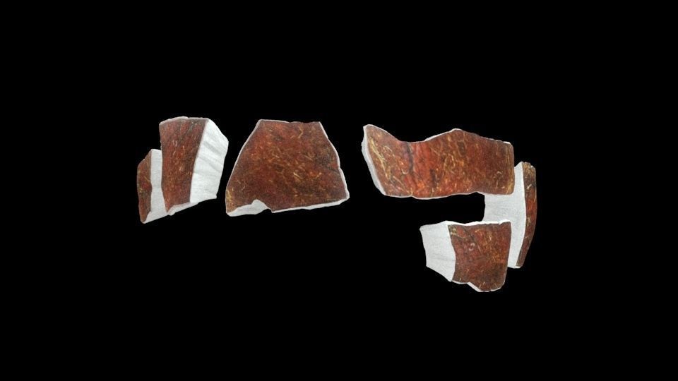 Coconut half 3D model_6