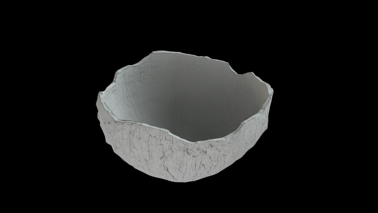 Coconut half 3D model_11