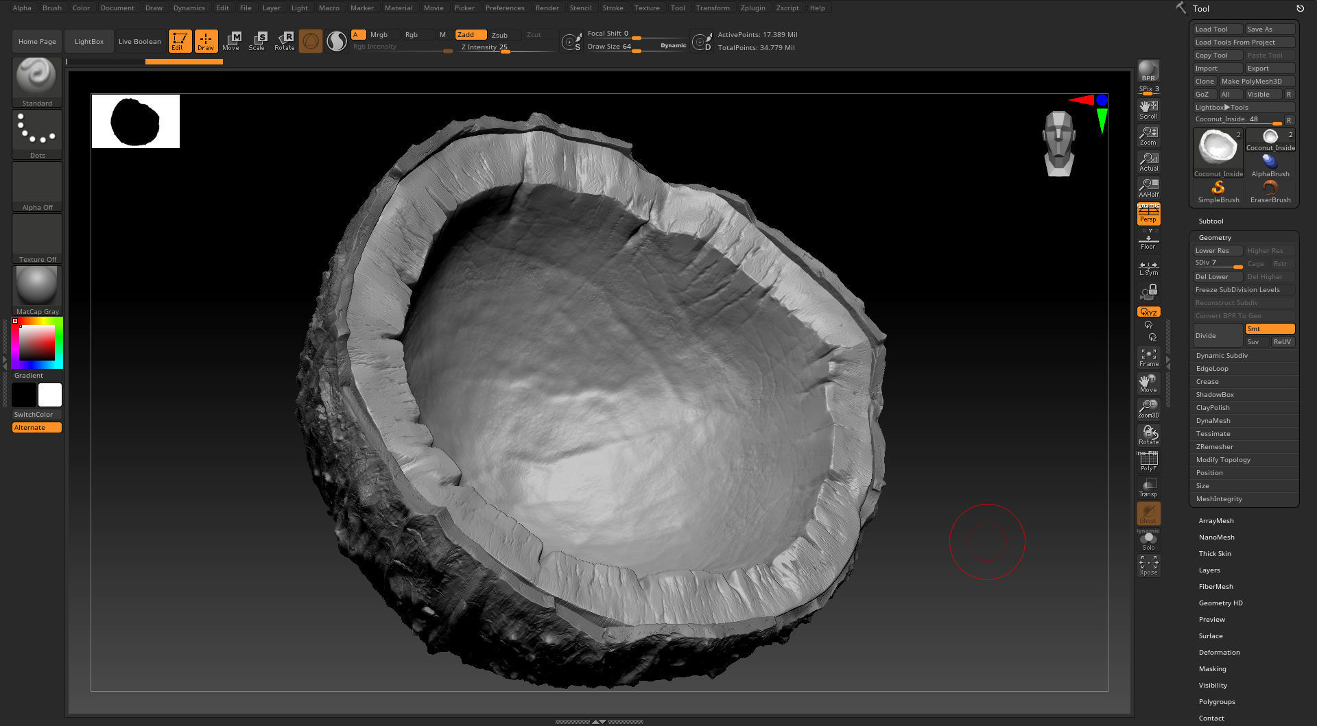 Coconut half 3D model_8