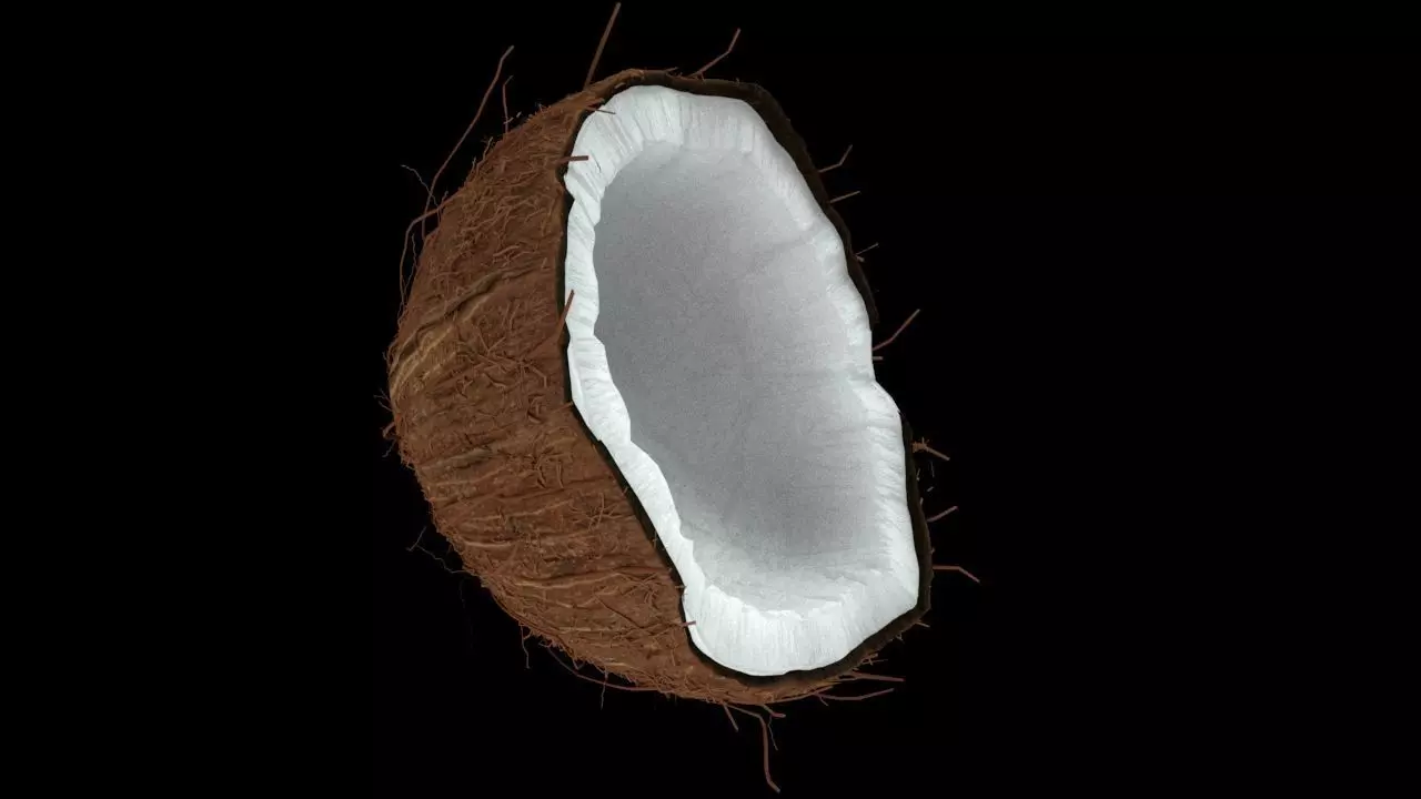 Coconut half 3D model_0
