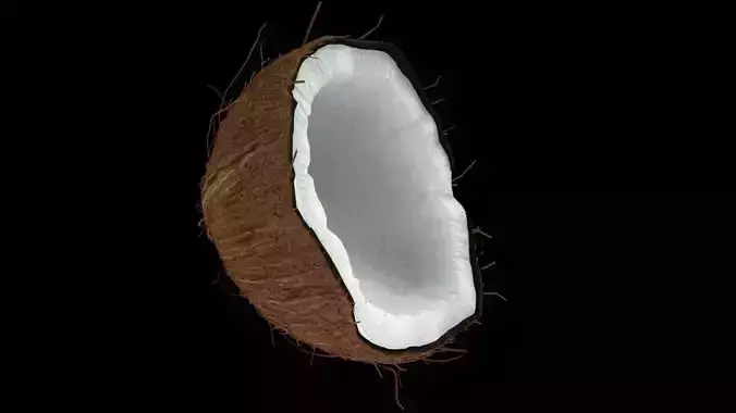 Coconut half