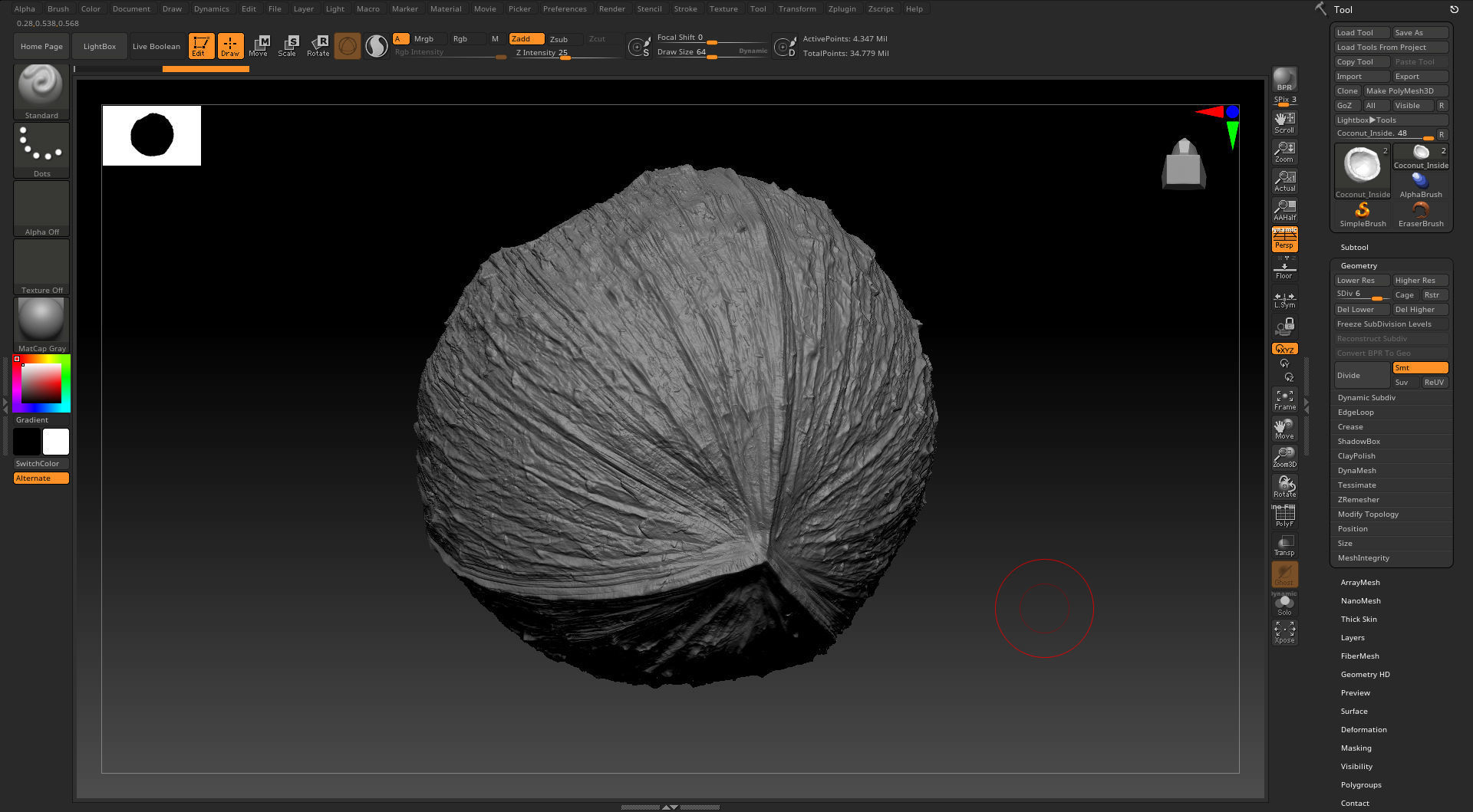Coconut half 3D model_9